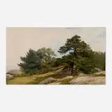John Frederick Kensett, Study for Trees on the Beverly Coast, 1856, oil on canvas
