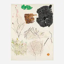 Nancy Graves, Spider Webs, 1971, gouache on paper