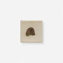 Hannah Wilke, Untitled, 1979, chewing gum in Plexiglas box