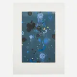Darren Waterston, Implicit Field #18, 1997, monotype with hand-coloring