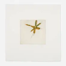 Jack Cowin, Riverhouse Whirligig #13, 1998, monotype