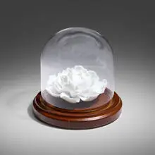 Peony by Ai Weiwei, 2015, glazed porcelain, sold Aug 2024