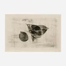 Tetsurō Komai, Leaves and Flying Birds, 1961, etching
