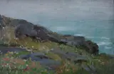 Charles E. Waltensperger, Wildflowers
