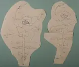 Jean Cocteau, Roses