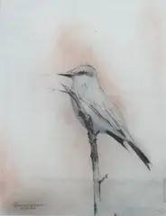 Bird on a Branch by Claudio Bravo, Graphite and pastel on paper, offered Jun 2011