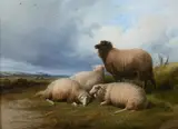 Thomas Sidney Cooper, Highland Sheep, Oil on panel