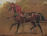 S. Sidney, A State Carriage Horse, Color print from "Cassell's Book