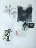 Robert Rauschenberg, Hose