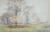 Hugh Newell, Group of Trees in Autumn Landscape, Pastel