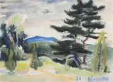 Werner Drewes, Old Pine, Watercolor