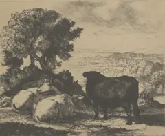 Charles Tunnicliffe, Untitled, Charles Frederick Tunnicliffe RA (1901-1979) 'The Cheshire Plain' etching and aquatint