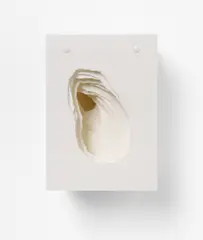 Angela Glajcar, Terforation 09/XVII. Kleines Wandobjekt, 2009, Papier (70g), gerissen, auf Halterung aus Metall und Kunststoff
