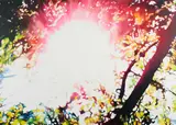 Patrick Cierpka, "Spot (2)", 2014, Acryl und Öl auf Leinwand