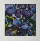 Karin Kneffel, Ohne Titel (Pflaumen), 2005, Farbaquatintaradierung auf Velin