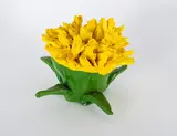 Thomas Stimm, Kleine Löwenzahnblüten 4
