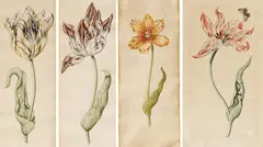 Anthony Claesz II, Vier Blätter mit einzelnen Tulpen, Jeweils: Aquarell auf Papier