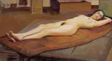 Richard Müller, Maja