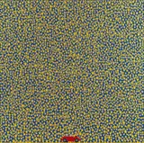 Chun Ouyang, Star car, 2009, Öl auf Leinwand