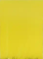 Joseph Marioni, "Yellow Painting", 1996, Acryl auf Leinwand