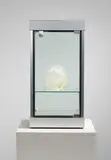Marsha Pels, Remains, 1999/01, Mixed Media (gegossenes Kristallglas, Glasvitrine mit Leuchtmittel, Elektrifizierung)