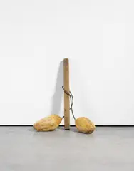 Gregor Schneider, "Zwei Eier", 2001, Holz, Gips, künstliches Haar und Stahlseil