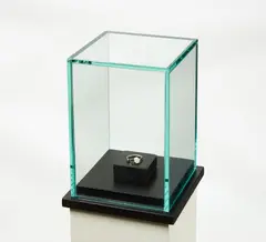 Snorre Ytterstad, Ring, 2004, Menschlicher Zahn, Münze, Podest