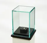 Snorre Ytterstad, Ring, 2004, Menschlicher Zahn, Münze, Podest