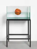 Iskender Yediler, Jeff I have a Problem, 2006, Mixed Media (Metallgestell, Aquarium, Wasser und Basketball)