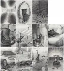 Michael Kirkham, Blackie, 2008, Jeweils: Grafit auf leichtem Karton