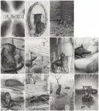 Michael Kirkham, Blackie, 2008, Jeweils: Grafit auf leichtem Karton