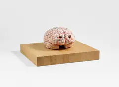 Jan Fabre, The Brain of a Messenger of Death, 2011, Silikon, Farbe und Glasaugen