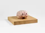 Jan Fabre, The Brain of a Messenger of Death, 2011, Silikon, Farbe und Glasaugen