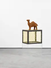 Lisa Lapinski, Tobacco Camel (Ref black box), 2011, Mixed Media (Plastik, Schaum, Haftmittel, Tabak, Plexiglas, Holz, Rattan)