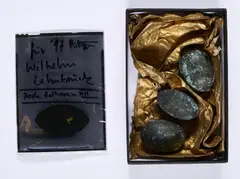 Stefan Pietryga, für Wilhelm Lehmbruck (3 Eier), 1997, Bronze
