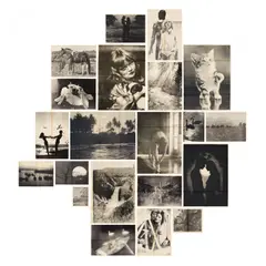 Sonntagsbilder by Hans-Peter Feldmann, 1976, Jeweils: Offsetlithografie auf dünnem Papier, gefaltet, sold Jan 2023