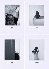 Carsten Tabel, The Rats, 2010, Portfolio mit 6 s/w-Fotografien