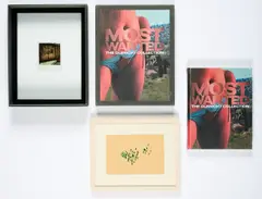 Mappenwerk, Most Wanted. The Olbricht Collection, Ausstellungskatalog in Portfoliobox mit zwei gerahmten Arbeiten