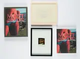 Mappenwerk, Most Wanted. The Olbricht Collection, Ausstellungskatalog in Portfoliobox mit zwei gerahmten Arbeiten
