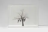 Johanna Karlsson, Ohne Titel (Nach Jacques Callot, La Pendaison (Pl. II) aus: Les Grandes Miseres de la Guerre, 1632), 2004, Silber und Kupferdraht, Papier maché, Wasserfarben. In Plexiglaskasten