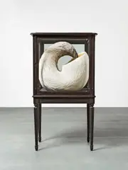 Kate MccGwire, Quell, 2011, Mixed Media (Taubenfedern, Lackkabinett, Spiegel)