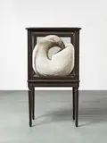 Kate MccGwire, Quell, 2011, Mixed Media (Taubenfedern, Lackkabinett, Spiegel)