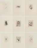 Wols, Das graphische Werk, 1955, Portfolio mit 32 Radierungen auf BFK-Rives, lose eingelegt in Originalmappe