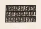 Eadweard (Edward James) Muybridge, Animal Locomotion (Plate 78), 1887, Lichtdruck