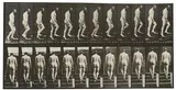 Eadweard (Edward James) Muybridge, Animal Locomotion (Plate 89), 1887, Lichtdruck