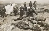 Dmitry Baltermants, Hitlerites' atrocities in Kerch. Bodies of Kerch residents shot by Germans, 1942, Gelatinesilberabzug. Vintage (Pressefoto)
