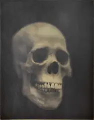 Adam Fuss, Ohne Titel, 2002, Daguerreotypie