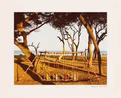 Alfred Seiland, "Pferdeschaukel, Jekyll Island, Georgia, 1982", 1985, C-Print auf Kodak