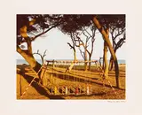 Alfred Seiland, "Pferdeschaukel, Jekyll Island, Georgia, 1982", 1985, C-Print auf Kodak