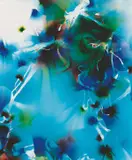 Wolfgang Tillmans, Mental Picture #52